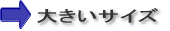 傫TCY 